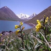 Климат Таджикистана - пример
