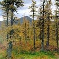 Природа и ресурсы Южной Сибири - пример