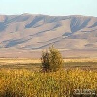 Растительность и почвы Киргизии - пример