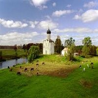Почвы и растительность Латвии - пример