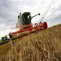 Отрасли сельского хозяйства Украины - пример