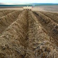 Распространение почв в Украине - пример
