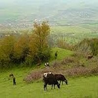 Сельское хозяйство Армении - пример